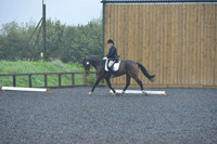 dressage-6450