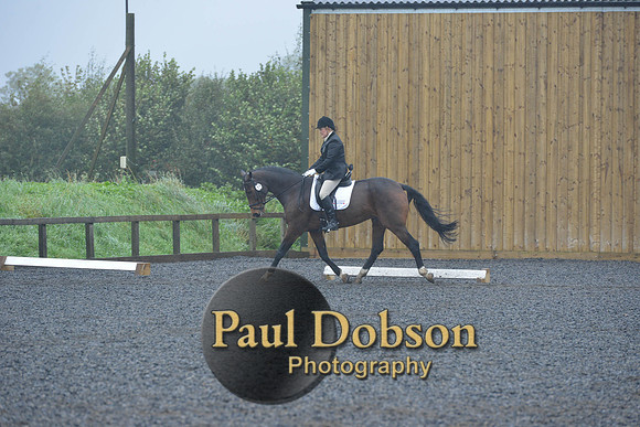 dressage-6450