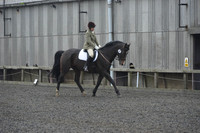 dressage-6278