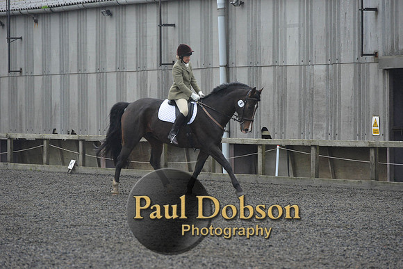 dressage-6278