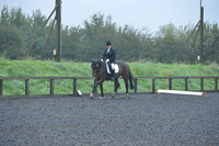 dressage-6451