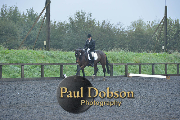 dressage-6451