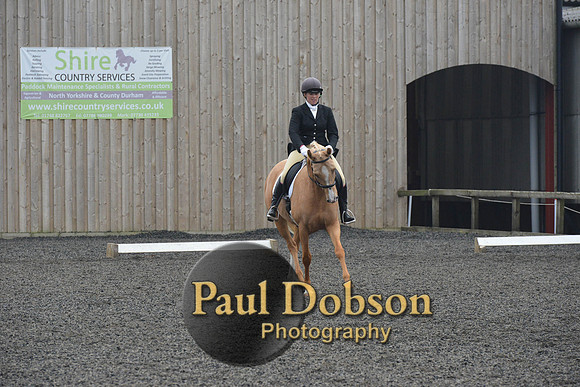 dressage-5747
