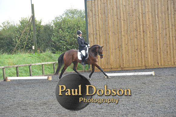 dressage-6900