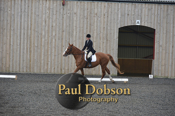 dressage-4517