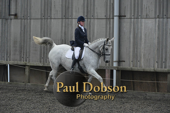 dressage-5742