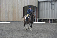 dressage-5693