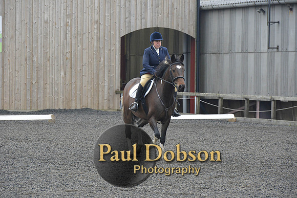 dressage-5693