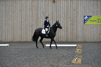 dressage-5904