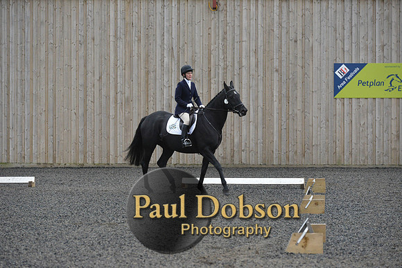 dressage-5904