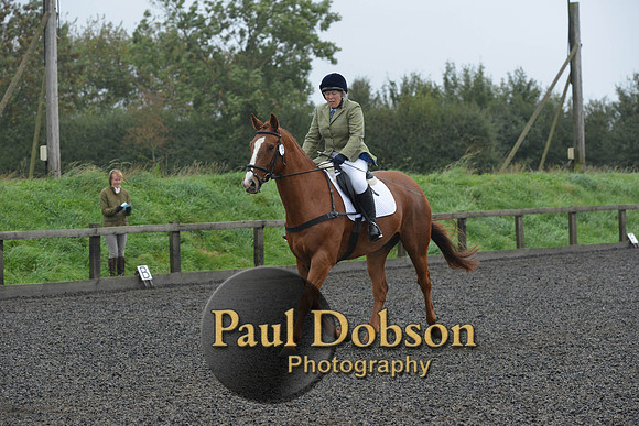 dressage-6285