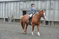 dressage-5425