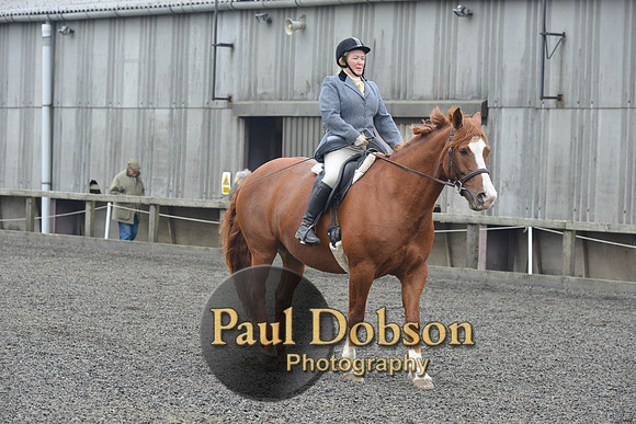 dressage-5425
