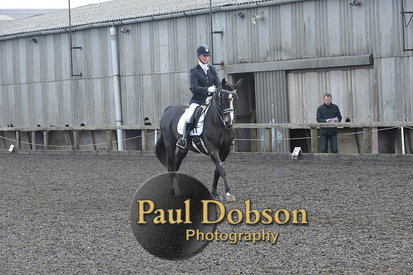dressage-7294