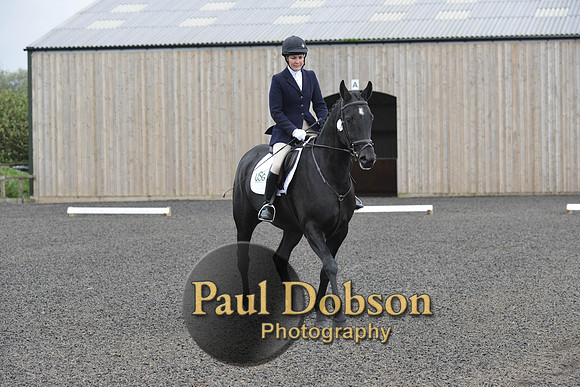 dressage-5898