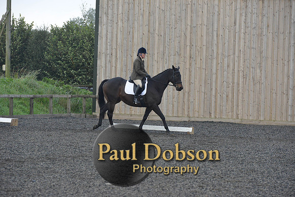 dressage-5192