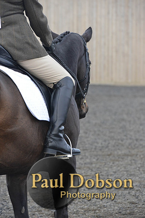 dressage-5191