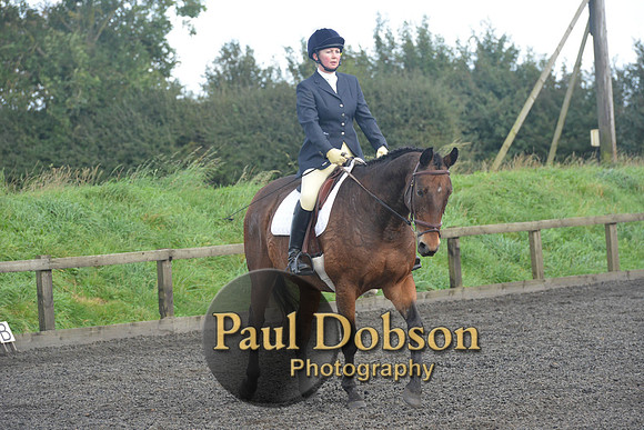 dressage-7279
