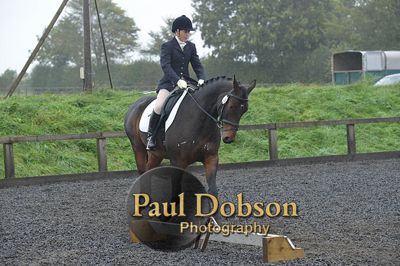 dressage-6602