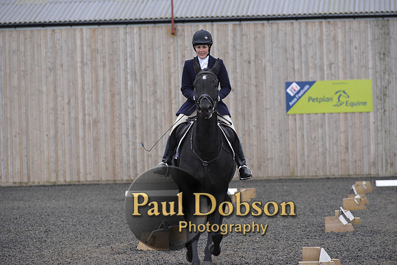 dressage-5888