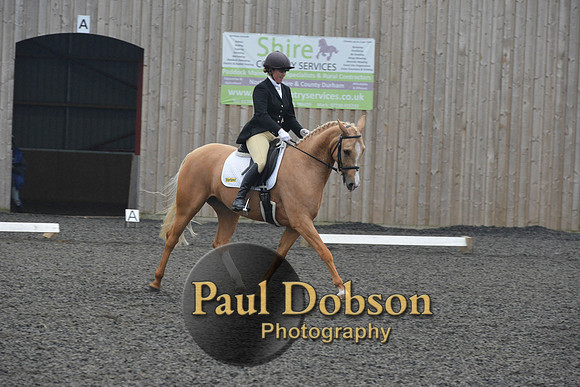 dressage-5763