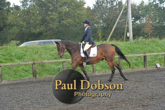 dressage-7293
