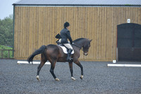 dressage-6449