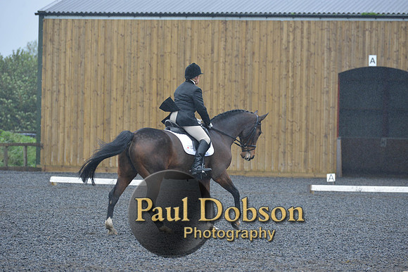 dressage-6449
