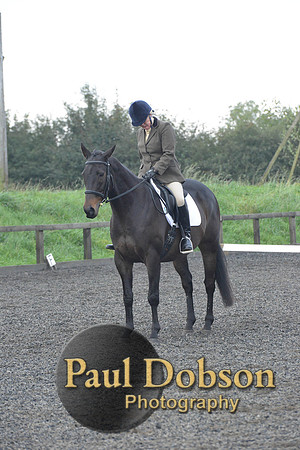 dressage-5197