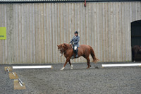 dressage-5417