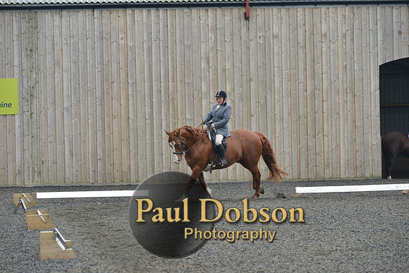 dressage-5417