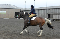 dressage-5711