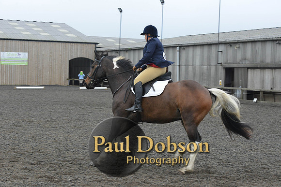dressage-5711