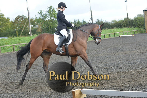 dressage-6903