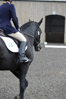 dressage-5907