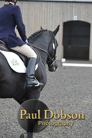 dressage-5907