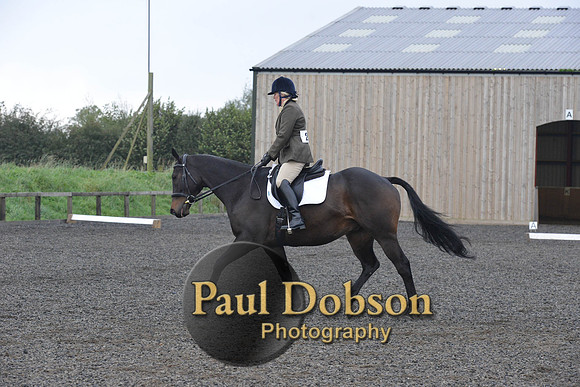 dressage-5184