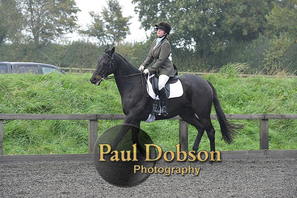 dressage-5217