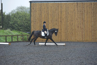dressage-6592