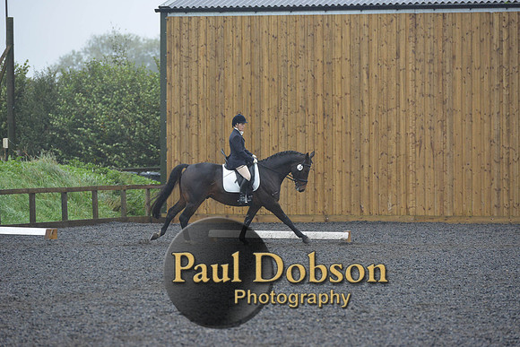 dressage-6592