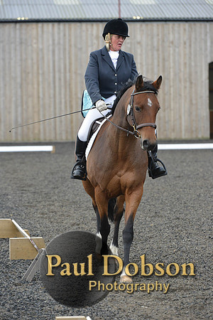 dressage-4124