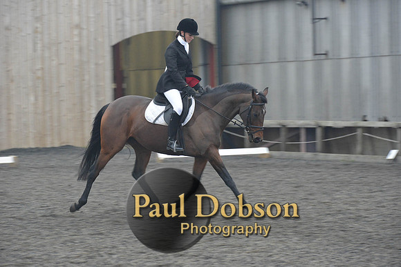dressage-5857