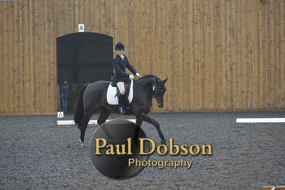 dressage-6598