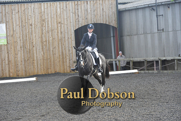 dressage-7298