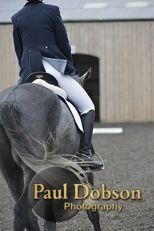 dressage-4118