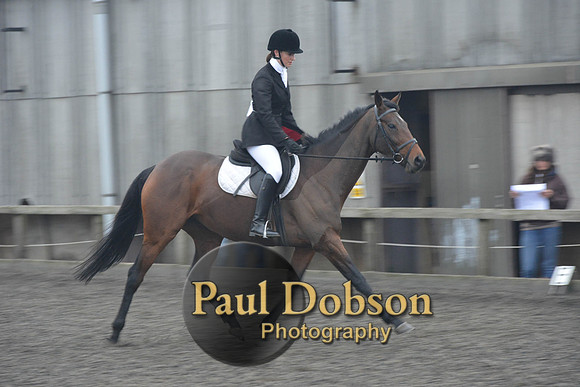 dressage-5859
