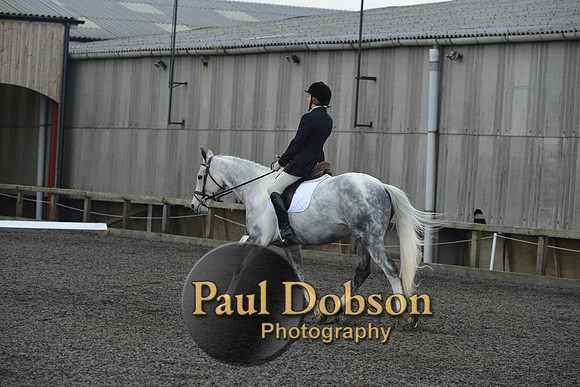 dressage-4567