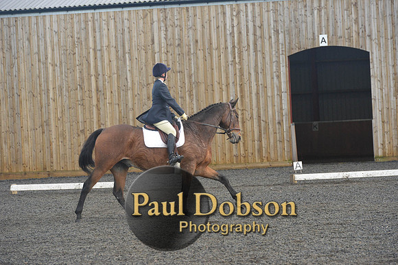 dressage-7291