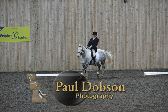 dressage-4563