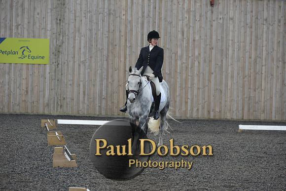 dressage-4537